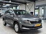 Skoda Karoq 1.5 TSI ACT Business Edition | Camera | Navi | Clima | Cruise | Apple Carplay | LED | Pr. glass |