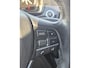 BMW 5-Serie 520i High Executive + stoelverwarming + Leer