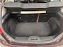 Ford Fiesta 1.25i 16v 82pk Titanium Individual Leer Climat Trekhaak All Seasons Dealeronderhouden