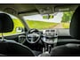 Toyota RAV4 2.0 VVTi Executive |Nap |4x4 |Trekhaak |Cruise
