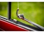 Fiat 500 500 R |Oldtimer |Nette staat |Gerestaureerd
