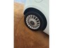 Fiat 500 1.2 Lounge Automaat, nwe distr riem, pano, NAP