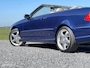 Mercedes-Benz CLK Cabrio 320 Avantgarde / AMG STYLING / KEURIG !