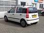 Fiat Panda 1.2 Edizione Cool