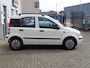Fiat Panda 1.2 Edizione Cool