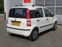 Fiat Panda 1.2 Edizione Cool