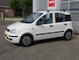 Fiat Panda 1.2 Edizione Cool