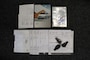 Mercedes-Benz B-klasse B160 Business Class AIRCO-NAVIGATIE