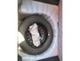 Renault Clio 1.0 TCe 90 Equilibre | Airco | Apple Carplay | Parkeersensoren | Incl. BOVAG Garantie | Bluetooth |