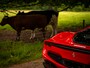 Ferrari 296 GTS 3.0 V6 | Lift | Carbon Racing Seats | Pass. display | Veel alcantara