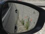 Mazda 3 2.0 e-SkyActiv-X M 180pk Comfort Bose | Camera | Stoelverw. | Memory seats | 18"