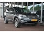 Toyota RAV4 2.0 VVTi Executive Business | Navigatie | Leer | Stoelverwarming | Cruise | Elek Stoelen | NL auto!! | Nederlandse auto 134765 NAP dealeronderhouden zeer compleet 4x4