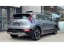 Kia Niro EV e-Niro DynamicLine 64 kWh | Camera | Cruise | SOH 100%