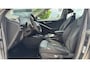 Kia Niro EV e-Niro DynamicLine 64 kWh | Camera | Cruise | SOH 100%