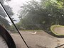 Opel Zafira Tourer 1.4 Sport 140pk 7p., Winter pack | Trekhaak