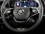 Skoda Kodiaq 1.5 TSI MHEV Business Edition 7p. | Derde zitrij | Light & view | Elek. stoel | 19 inch |