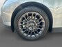 MINI Cooper 3-Deurs E Essential 40.7 kWh | Climate | Cruise | Camera | LM Velgen | Apple cp Android auto |