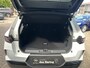 Opel Grandland 1.2 Turbo Hybrid GS Head Hup/Camera/Stoelverwarming.