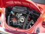 Volkswagen Kever Cabriolet 1303