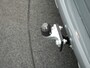 Renault Kangoo E-Tech Extra Open Sesame 22 kW - Quick Charge - All Seasonbanden - Keyless - Trekhaak