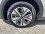 Kia Niro EV e-Niro DynamicLine 64 kWh | Stoelverwarming | Achteruitrijcamera | Half leder |