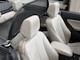 BMW 2-Serie Cabrio 218i High Executive M PAKKET - NL AUTO - STOELVERWARMING - NAVI PROF. - PARKEERSENSOREN - AUTOMAAT