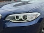 BMW 2-Serie Cabrio 228i|Stoel/Stuurverw.|H/K Audio|Memory|Keyless