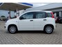 Fiat Panda 1.0 Hybrid City / INCL. 12mnd BOVAG / Parkeer-sensoren
