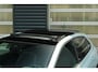 Volkswagen Polo 1.0 TSI 95pk DSG 50 Edition | Panoramadak | Stoelverwarming