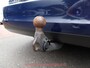 Ford Focus Wagon 1.0 EcoBoost Titanium Business / CAMERA / PANO / TREKHAAK / KEYLESS / ACC