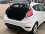 Ford Fiesta 1.0 EcoBoost Titanium/nap/ 1e EIG/ dealeronderhouden/ 1jaar apk/ zeer nette auto.