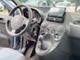 Fiat Panda 1.2 Edizione Cool/ GOED ONDERHOUDEN/ SCHERMPJE