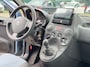 Fiat Panda 1.2 Edizione Cool/ GOED ONDERHOUDEN/ SCHERMPJE
