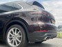 Porsche Cayenne 3.0 E-Hybrid 463PK PANO+CARPLAY+CHRONO+TREKH