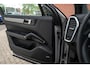 Porsche Cayenne 3.0 E-Hybrid Platinum Edition 4-Wielsturing VOLL