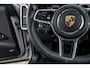 Porsche Cayenne 3.0 E-Hybrid Platinum Edition 4-Wielsturing VOLL