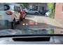 BMW X5 XDrive30d High Executive | Dealeronderhouden | Individual
