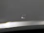 Audi Q5 55 TFSI e quattro Competition | Luchtvering | B&O | Panoramadak | 360° Camera!