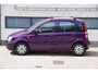 Fiat Panda 1.2 Active | 1e eigenaar| Dealer onderhouden|