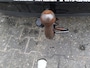 Volkswagen Polo 1.4-16V airco cruise