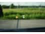 Polestar 4 Long Range Dual Motor Performance Plus 100 kWh 544pk
