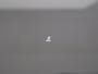 Mercedes-Benz EQA 250+ Business Solution AMG 71 kWh | Panoramaschuifdak | Burmester | 360°-camera | Head-up display | Trekhaak |