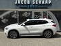 BMW X2 sDrive20i High Executive / Automaat / 19'' LM / Camera / Trekhaak (1.800KG) / M pakket /