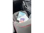 Ford Focus 125pk ST Line Business FULL LED | 18INCH | CARPLAY | STOELVERWARMING | TREKHAAK | CLIMA | CRUISE CONTROL