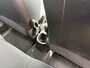 Hyundai i10 1.0 i-Drive Cool airco hoge instap 119dkm