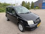 Fiat Panda 1.2 Edizione Cool