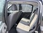 Fiat Panda 1.2 Edizione Cool