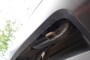 Land Rover Range Rover 3.0 SDV6 AUTO. DYN NL Auto ( geen import )