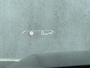 BMW X1 xDrive25e M Sport | 360 Camera l HUD l Veel opties