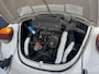 Volkswagen Kever 1303